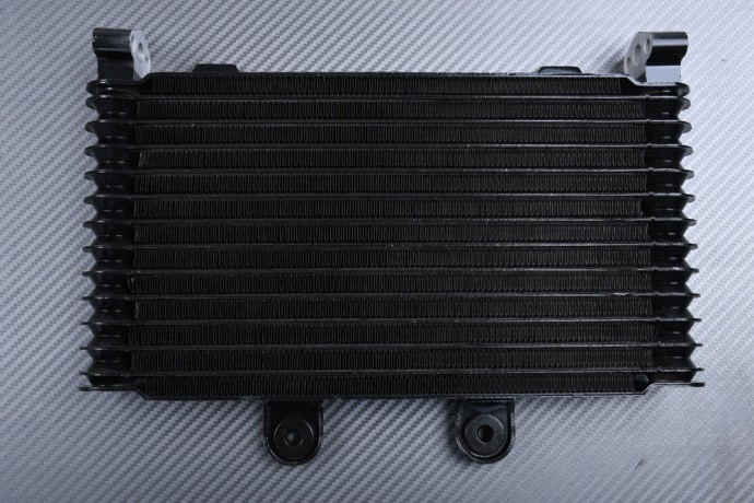 Oil Cooler Radiator SUZUKI BANDIT GSF 1200 N / S 1996 - 2000 Oil Cooler Radiator SUZUKI BANDIT GSF 1200 N / S 1996 - 2000