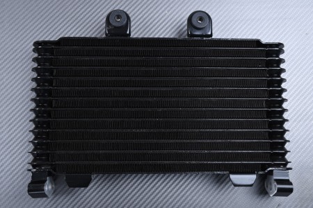 Radiador de aceite SUZUKI BANDIT GSF 1200 N / S 1996 - 2000