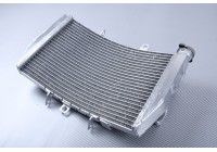 Radiator TRIUMPH SPEED TRIPLE 1050 / R 2011 - 2015