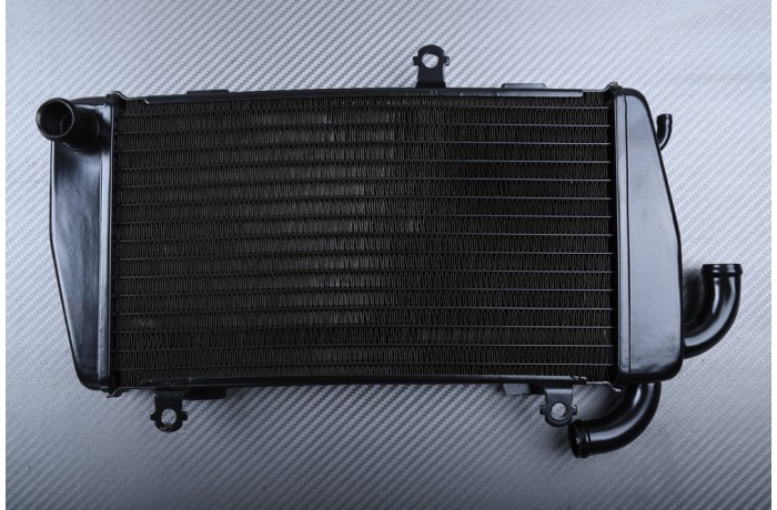 Radiateurs HONDA GOLDWING GL 1800 2001 - 2005 Radiateurs HONDA GOLDWING GL 1800 2001 - 2005