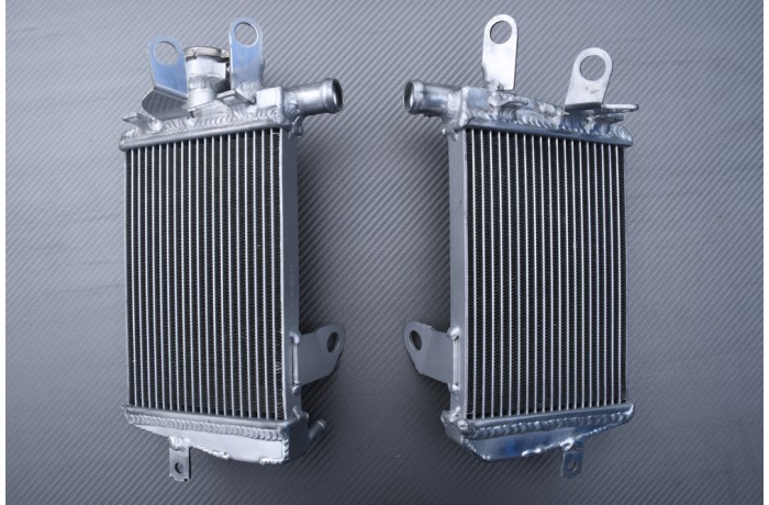 Radiateurs BMW R1200 GS / RT & R1250 GS / RT 2011 - 2021