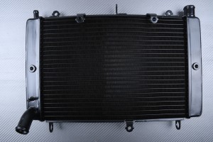 Kühler YAMAHA FZS / FAZER 1000 2001 - 2005 Kühler YAMAHA FZS / FAZER 1000 2001 - 2005