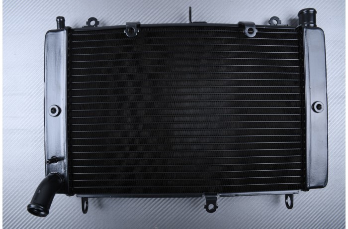 Radiator YAMAHA FZS / FAZER 1000 2001 - 2005