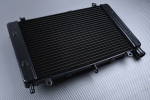 Radiator YAMAHA FZS / FAZER 1000 2001 - 2005