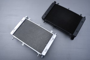 Kühler YAMAHA FZS / FAZER 1000 2001 - 2005