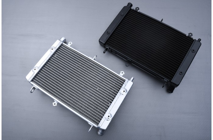 Radiador YAMAHA FZS / FAZER 1000 2001 - 2005