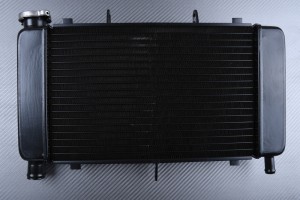 Radiator YAMAHA FZ6 N / FAZER 600 2004 - 2006