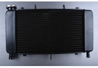 Kühler YAMAHA FZ6 N / FAZER 600 2004 - 2006