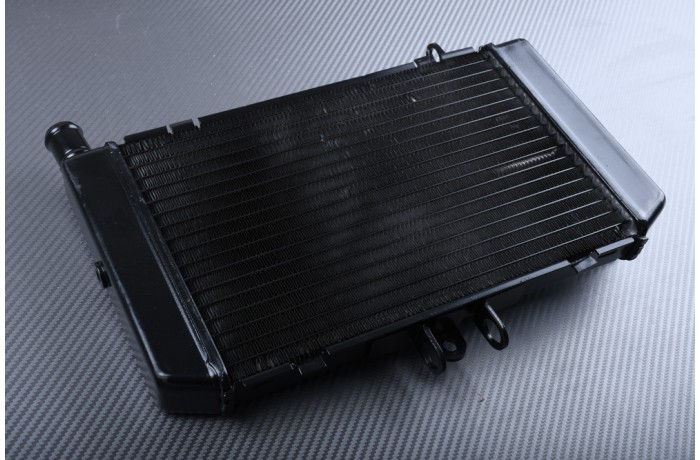 Radiateur HONDA CB 500 1994 - 2003 Radiateur HONDA CB 500 1994 - 2003