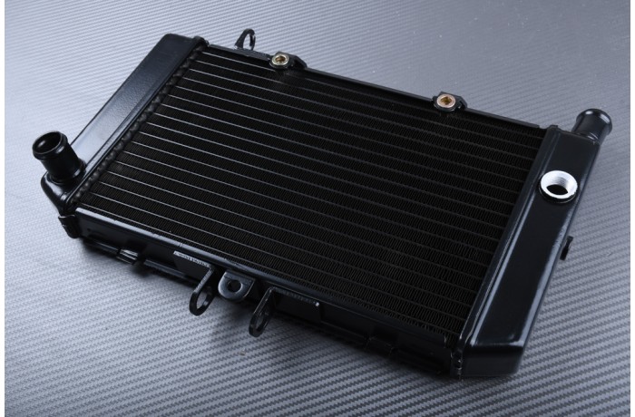 Radiateur HONDA CB 500 1994 - 2003 Radiateur HONDA CB 500 1994 - 2003