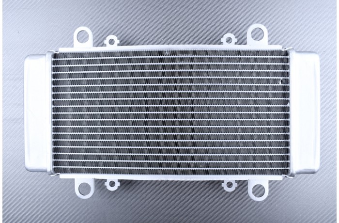 Radiator KAWASAKI NINJA 300R / Z300 2013 - 2018
