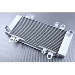 Radiador KAWASAKI NINJA 300R / Z300 2013 - 2018