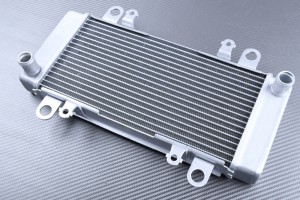 Radiator KAWASAKI NINJA 300R / Z300 2013 - 2018