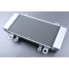 Radiador KAWASAKI NINJA 300R / Z300 2013 - 2018