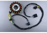 Stator tipo original SUZUKI DRZ 400 2000 - 2009