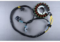 Stator tipo originale SUZUKI DRZ 400 2000 - 2009