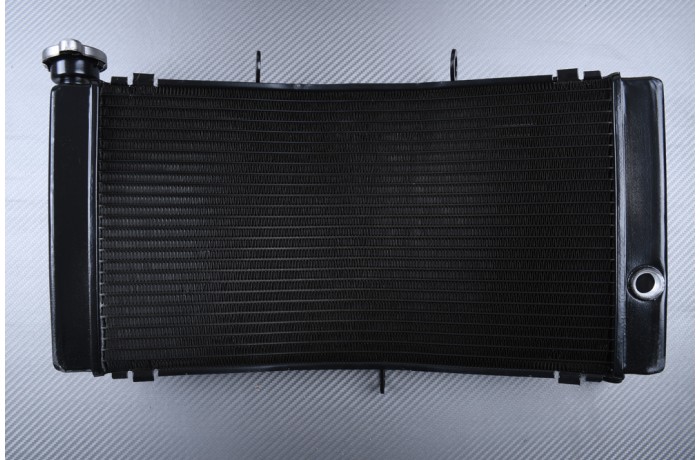 Radiator HONDA CBR 900 / 919 RR 1996 - 1999 Radiator HONDA CBR 900 / 919 RR 1996 - 1999