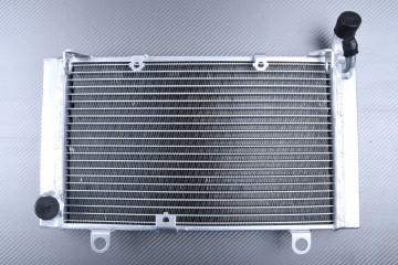Radiador HONDA CBF 1000 / S 2006 - 2009