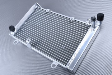 Radiador HONDA CBF 1000 / S 2006 - 2009