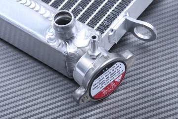 Radiador YAMAHA MT-125 2014 - 2019 Radiador YAMAHA MT-125 2014 - 2019