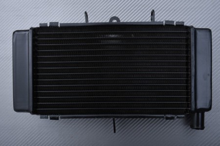 Radiator HONDA CB 250 Jade 1993 - 1995