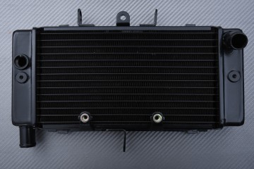 Radiator HONDA CB 250 Jade 1993 - 1995