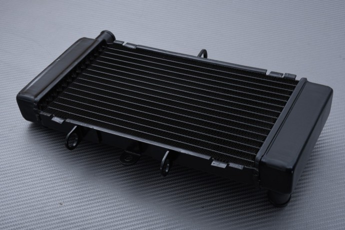 Radiateur HONDA CB 250 JADE 1993 - 1995 Radiateur HONDA CB 250 JADE 1993 - 1995