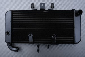 Radiator HONDA CB 400 SF / VTEC 1999 - 2019