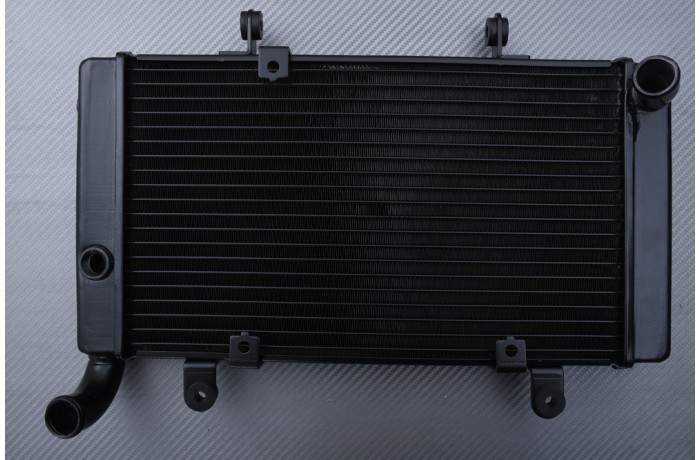 Radiator HONDA CB 1300 1997 - 2003 Radiator HONDA CB 1300 1997 - 2003