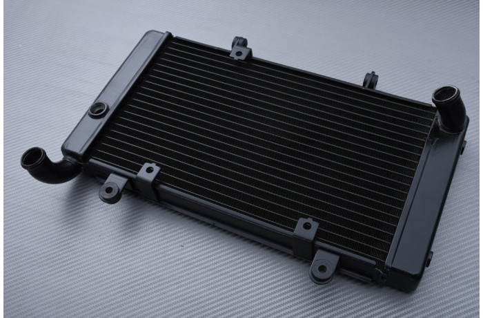 Radiador HONDA CB 1300 1997 - 2003 Radiador HONDA CB 1300 1997 - 2003