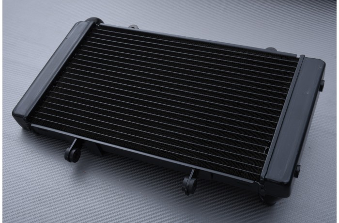 Radiador HONDA CB 1300 1997 - 2003 Radiador HONDA CB 1300 1997 - 2003