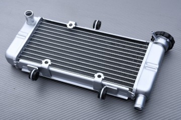 Radiatore HONDA CBR 250 / 300 R 2011 - 2018 Radiatore HONDA CBR 250 / 300 R 2011 - 2018