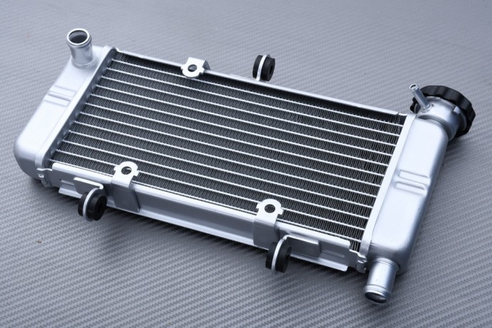 Radiatore HONDA CBR 250 / 300 R 2011 - 2018 Radiatore HONDA CBR 250 / 300 R 2011 - 2018