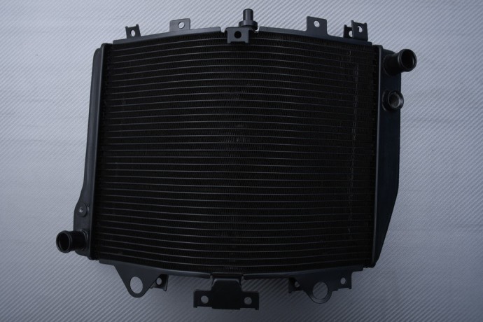 Radiateur KAWASAKI ZZR 1200 2002 - 2005 Radiateur KAWASAKI ZZR 1200 2002 - 2005
