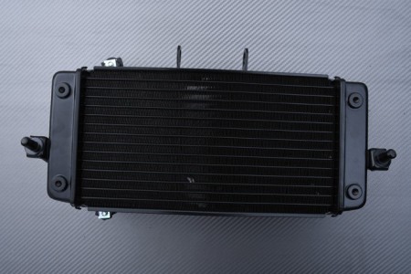 Radiatore SUZUKI GSXR 250R / VSTROM 250 / INAZUMA 250 2013 - 2021