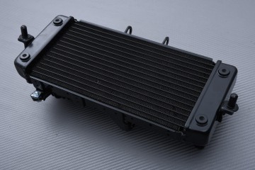 Radiador SUZUKI GSXR 250R / VSTROM 250 / INAZUMA 250 2013 - 2021
