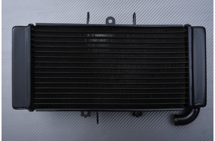 Radiator YAMAHA FZ 400 1997 - 2011