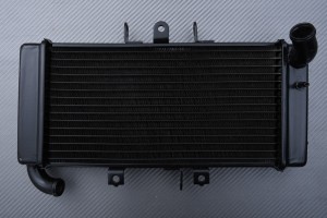 Kühler YAMAHA FZ 400 1997 - 2011