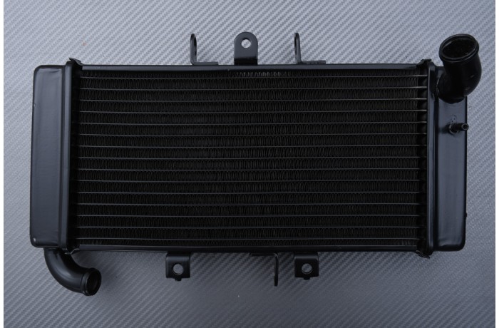 Radiador YAMAHA FZ 400 1997 - 2011