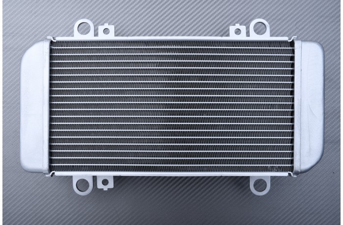 Radiator KAWASAKI NINJA 250R / Z250 2008 - 2013