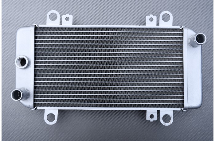 Radiator KAWASAKI NINJA 250R / Z250 2008 - 2013