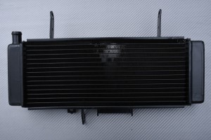 Kühler SUZUKI SV 650 S 2003 - 2004 Kühler SUZUKI SV 650 S 2003 - 2004