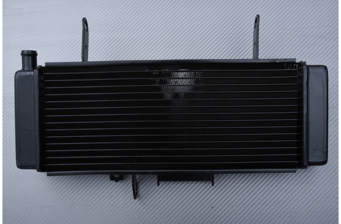 Kühler SUZUKI SV 650 S 2003 - 2004 Kühler SUZUKI SV 650 S 2003 - 2004