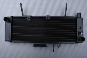 Radiatore SUZUKI SV 650 S 2003 - 2004 Radiatore SUZUKI SV 650 S 2003 - 2004