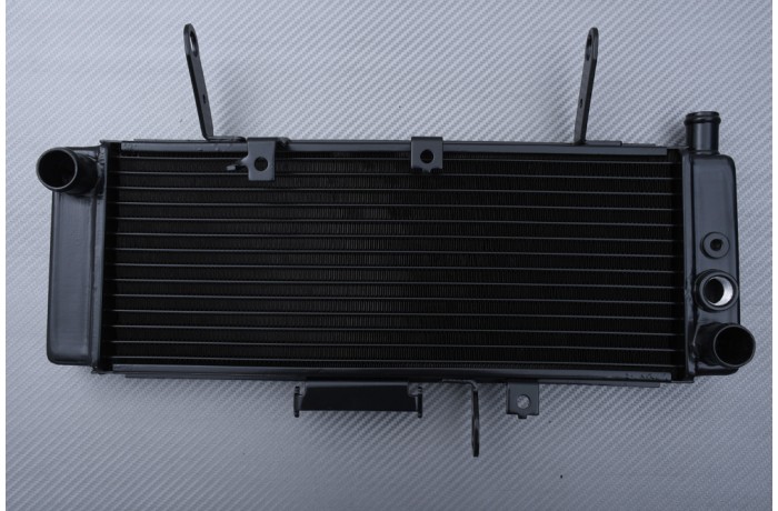 Kühler SUZUKI SV 650 S 2003 - 2004 Kühler SUZUKI SV 650 S 2003 - 2004