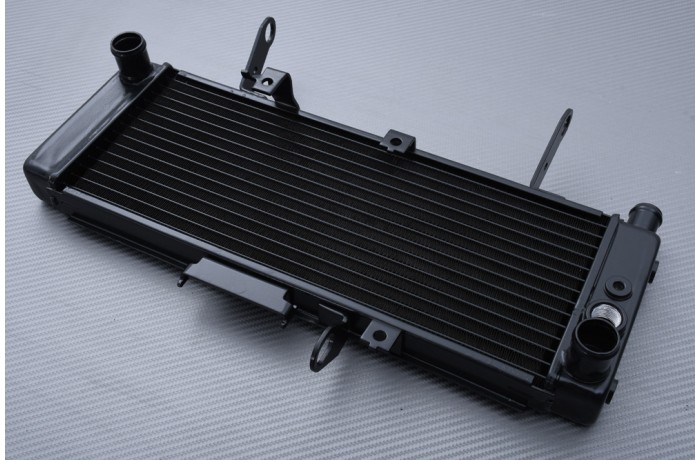 Radiatore SUZUKI SV 650 S 2003 - 2004 Radiatore SUZUKI SV 650 S 2003 - 2004
