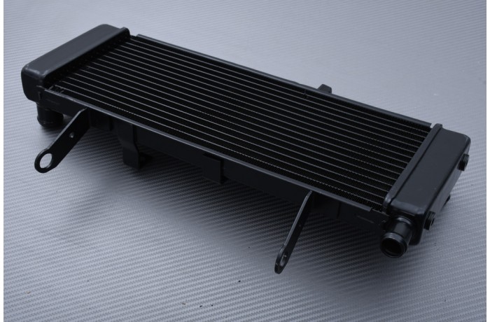 Radiador SUZUKI SV 650 S 2003 - 2004