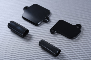 Smog block off plates YAMAHA MT09 / TRACER / XSR / NIKEN 900