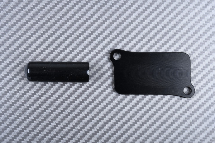 Smog block off plates HONDA CBR 250 / 300 / CRF / Rebel CMX 300