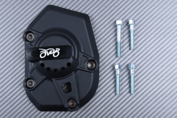 Getriebe Sturzpad KIT KAWASAKI Z1000 / Z1000R / Z1000SX / VERSYS & Ninja 1000 SX 2010 - 2021